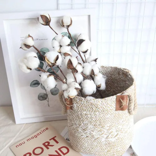 Vista 3 de Tallos de algodón seco natural para jarrón, ramo de primavera y verano de 17 pulgadas, decoración del hogar o ramos de boda de bricolaje, 10 ramitas