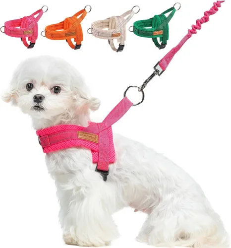Vista 43 de BEAUTYZOO Arnés para Perros Pequeños, Juego de Arnés y Correa sin Tirones, Arnés de Pecho para Cachorros a Prueba de Escapes con Mango, Arnés Beige