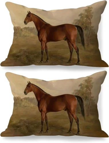Vista 19 de Fundas de almohada de 12 x 20 pulgadas, regalos para amantes de los caballos, fundas de almohada lumbares decorativas para el hogar, sala de estar