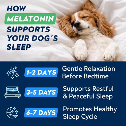 Vista 4 de STRELLALAB Melatonina para que los perros duerman 6 mg – Golosinas para dormir para perros – Pastillas para dormir para la ansiedad – Masticables