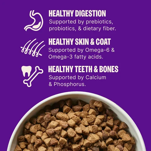 Vista 5 de Wellness Complete Health - Alimento seco para perros de raza grande con granos, ingredientes naturales, fabricado en Estados Unidos con carne real