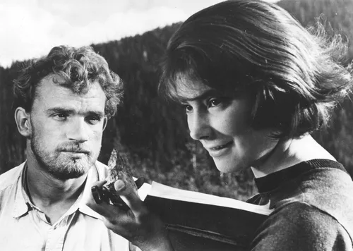 Vista 3 de Letter Never Sent (The Criterion Collection) Blu-ray