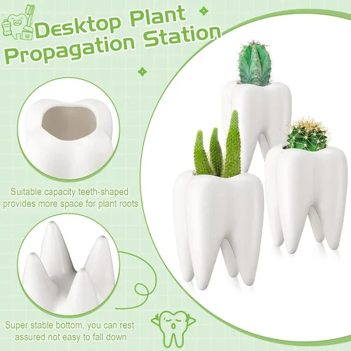 Vista 3 de 2 macetas en forma de dientes, de cerámica dental, estilo moderno, macetas de cactus blanco, para bonsái, maceta pequeña y bonita para suculentas