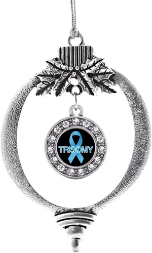 Vista 61 de Inspired Silver - Adorno con dije de cara de carlino - Adornos navideños de círculo de plata con joyas de circonita cúbica