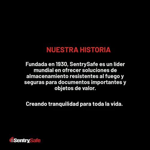 Vista 6 de P021E Caja fuerte de seguridad portátil para crear una combinación propia, 5.6 x 12.8 x 10.4 pulgadas, color negro