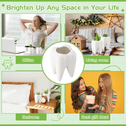 Vista 4 de 2 macetas en forma de dientes, de cerámica dental, estilo moderno, macetas de cactus blanco, para bonsái, maceta pequeña y bonita para suculentas