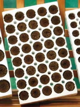 Vista 3 de Park Seed Bloque de plantación Whopper de 18 celdas