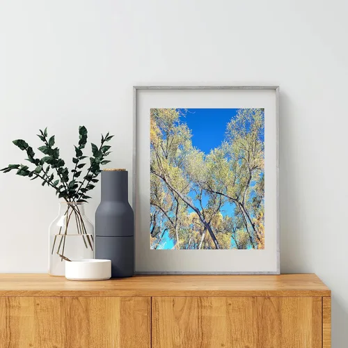 Vista 3 de San Pedro River Arizona Cottonwood Tree Autumn Forest Nature Print
