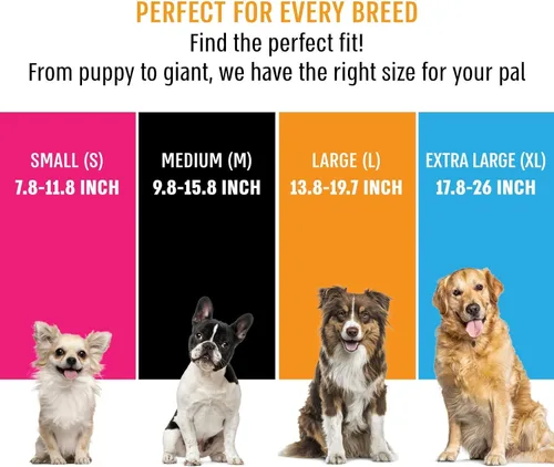 Vista 6 de Active Pets Collar de liberación rápida para perros pequeños y grandes, collar de seguridad ajustable con hebilla segura, comodidad transpirable