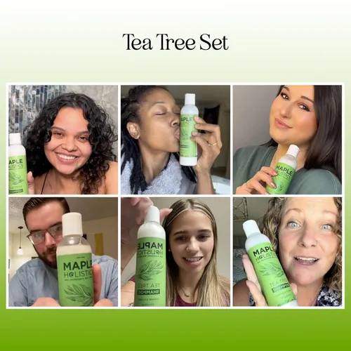 Vista 4 de Juego de champú y acondicionador de árbol de té, champú y acondicionador clarificante sin sulfato para el cuidado del cabello graso y el cuero