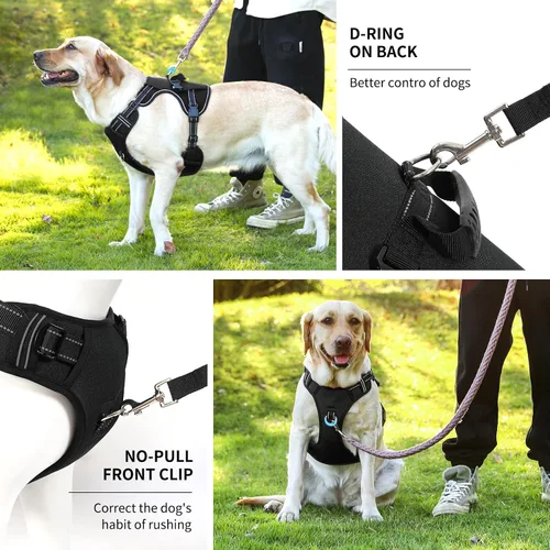 Vista 5 de NOYAL Arnés de elevación para perros para mascotas mayores y lesionadas – Soporte de cuerpo completo con malla transpirable, ayuda de pierna