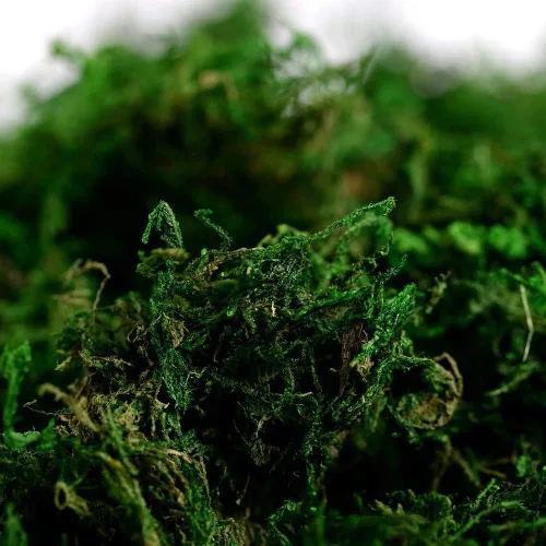 Vista 2 de Musgo falso para manualidades, musgo verde artificial para plantas en macetas para decoración de centros de mesa (3.5 onzas)
