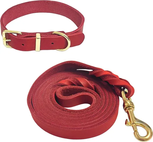 Vista 6 de Guiding Star Juego de correa y collar de cuero para perro de 5 pies, cuero trenzado suave con collar ajustable, combo resistente para perros Negro