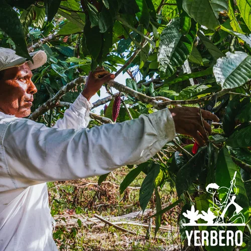 Vista 5 de Yerbero Cacao oaxaqueño en polvo – Bolsa de 8 onzas, opciones de 1 libra y 2 libras Cacao en polvo Rico, oscuro, crudo, vegano, 100% natural