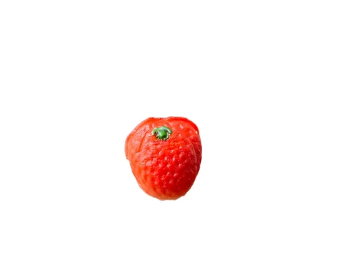 Vista 4 de Bergen Marzipan M-1 Surtido de frutas 8 onzas