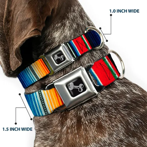 Vista 2 de Buckle-Down Zarape2 - Collar de perro con hebilla de cinturón de seguridad, rayas multicolor verticales, 1.5 pulgadas de ancho, se adapta a cuello