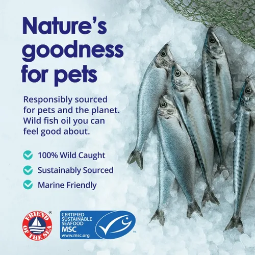 Vista 3 de Aceite de pescado líquido para perros con ácidos grasos Omega 3, 6 y 9, capturado en el medio silvestre de Islandia, suplemento para la piel