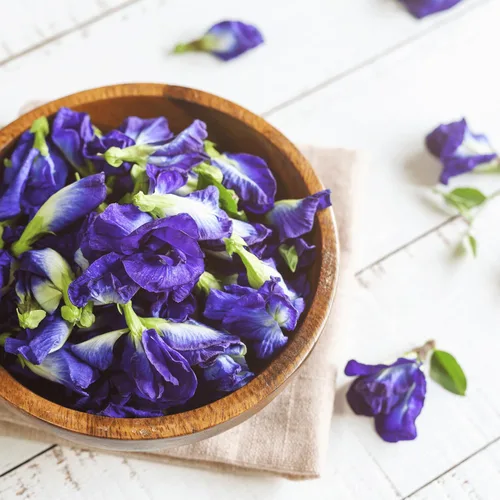 Vista 7 de Zyanna Bolsas de té de flores de guisante mariposa – 80 tazas – 100% puro y natural sin cafeína Sin OMG vegano desintoxicante sin gluten