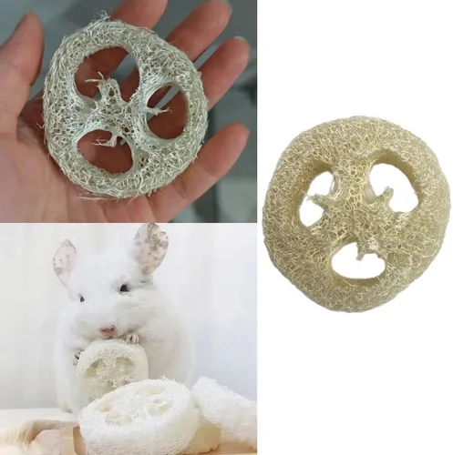 Vista 5 de Paquete de 15 juguetes masticables de conejo, sin aditivos, golosinas para moler dientes, lufa natural, juguetes masticables para masticar dientes