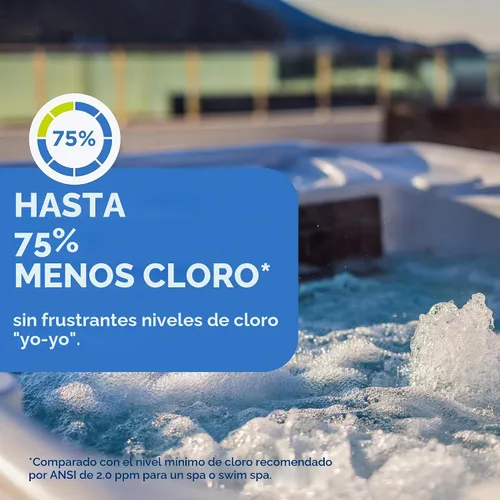 Vista 4 de FROG @Ease Sistema flotante y limpiador de tuberías y chorro para jacuzzis