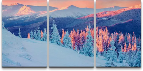 Vista 17 de wall26 Lienzo enmarcado para pared, juego de arte de selva, rana, hoja de palmera, naturaleza, desierto, arte moderno, realismo, decorativo