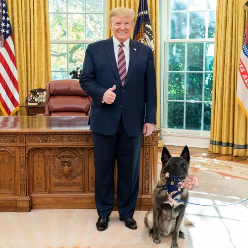 Vista 6 de Pesky Patriot Sleepy Joe Biden - Juguete para perros Let's Go Brandon - Juguete masticable con chirriador, regalo republicano de mordaza