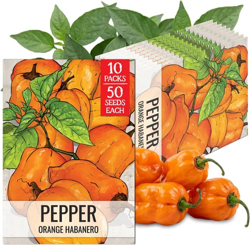Vista 114 de Seed Needs - Semillas de pimiento arcoíris para plantar verduras, 1 paquete
