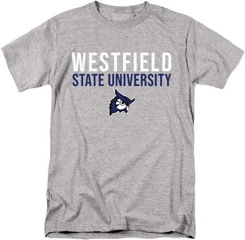 Vista 204 de Colección de camisetas para adultos apiladas colegiales 1 Universidad Estatal de Albany