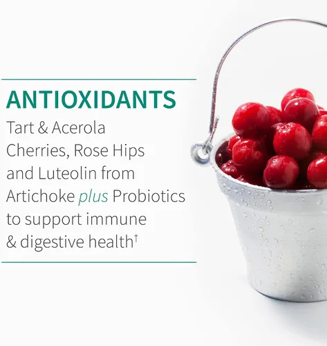 Vista 7 de Garden of Life Suplemento de apoyo al sistema inmunológico de quercetina una vez al día con vitamina C, D y probióticos, formulado por Dr. - Salud