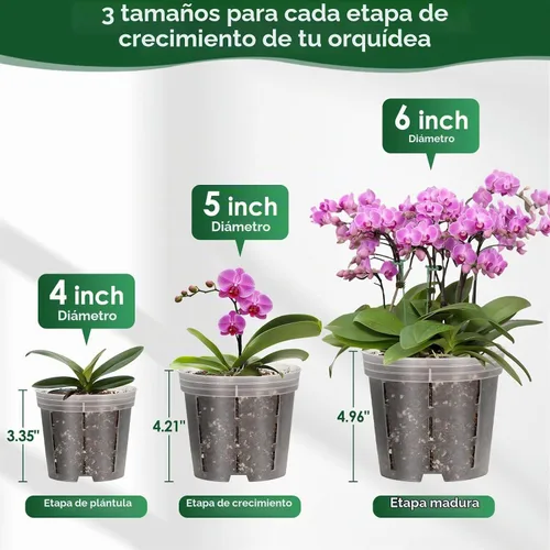 Vista 4 de Paquete de 16 macetas de plástico para orquídeas con agujeros, 4, 5, 6 16