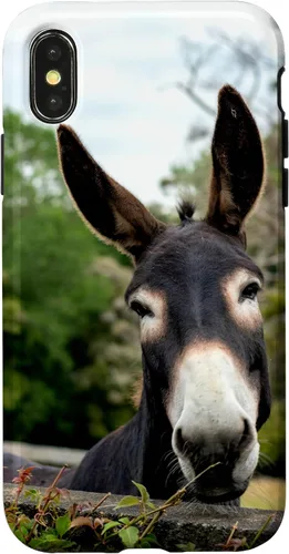Vista 5 de Funda Donkey para iPhone 17