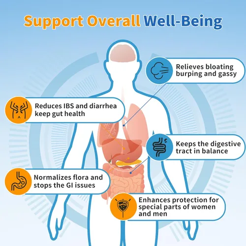 Vista 6 de Probióticos para mujeres, hombres y niños, prebióticos y probióticos en polvo para la salud intestinal digestiva e inmunológica, apoyan el sistema