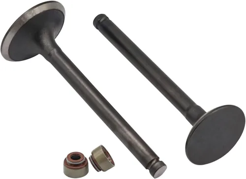 Vista 5 de Válvula de escape de admisión del motor y kit de sello para Club Car Gas 1992 en adelante DS & Precedent carrito de golf con motores FE290 OEM #