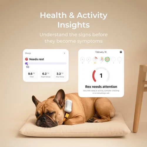 Vista 5 de Petcube GPS Tracker para perros - Seguimiento GPS en tiempo real y alertas de escape Vallas virtuales, monitoreo de actividad y bienestar, brillo