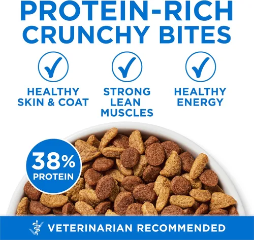 Vista 6 de Purina ONE Plus Alimento seco para gatos con alto contenido de proteínas