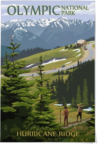 Vista 11 de Lantern Press Parque Nacional Olímpico, Washington, Grand Valley, alce, 8 x 12 pulgadas - Impresión artística para decoración de pared