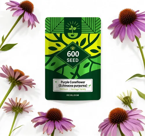 Vista 8 de Semillas de equinácea púrpura (Echinacea purpurea), perenne nativa resistente, paquete de 600 semillas