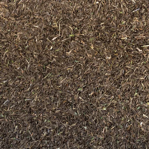 Vista 2 de Lechuga silvestre espinosa (Lactuca serriola) - Paquete de 25 Semillas
