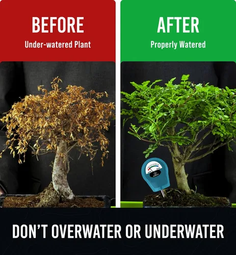 Vista 3 de GROWIT - Monitor de agua de suelo para plantas, medidor de humedad del suelo, hidrómetro para plantas, medidor de humedad de plantas de interior, 5.