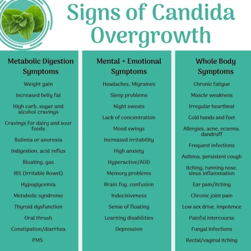 Vista 3 de Candida Support - Ayuda a la Digestión, Problemas Intestinales - 180 Cápsulas - por Dr. Valerie Nelson