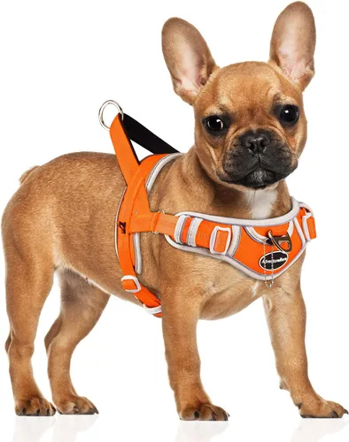 Vista 11 de ADVENTUREMORE Arnés para perro mediano - sin tirones, chaleco reflectante ajustable con asa de clip frontal para entrenamiento y caminata - Negro