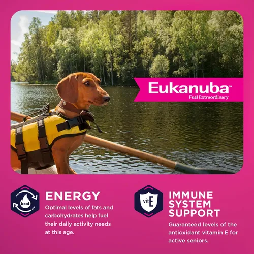 Vista 6 de Comida para perros seca EUKANUBA Senior