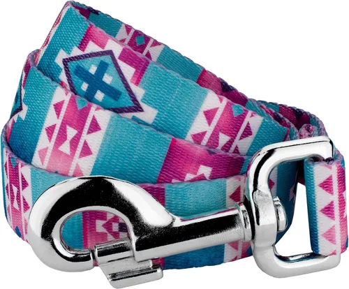 Vista 17 de Country Brook Design® Correa para perro Native Arizona de 1 pulgada - 6 pies Arizona nativa