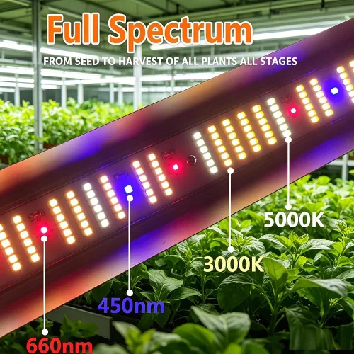 Vista 9 de FARMLITE Barras de luz de crecimiento de espectro completo debajo del dosel, lámparas de cultivo LED para plantas de interior, cadena de margaritas