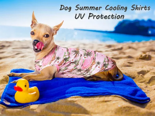 Vista 4 de Camisas hawaianas para perros, camisetas transpirables de malla de secado rápido para el verano, para niños pequeños, hembras, cachorros, chihuahua