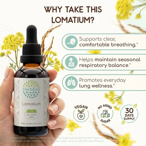 Vista 2 de HerbEra Lomatium B60 - Tintura de extracto de hierbas sin alcohol, gotas líquidas concentradas naturales Lomatium Dissectum 2 fl oz