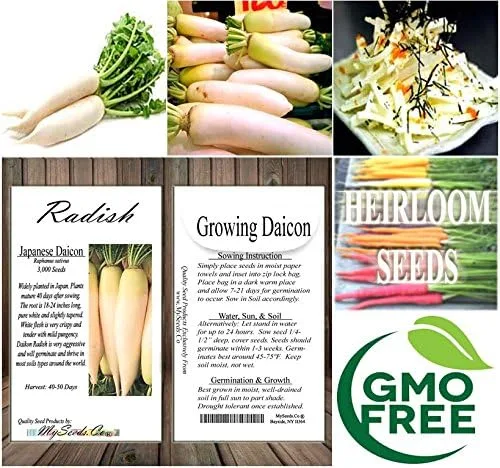 Vista 7 de Paquete grande - Semillas sin transgénicos de MySeeds.Co