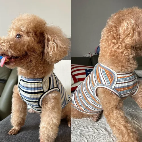 Vista 6 de Camisas para perros, chaleco de algodón a rayas, ropa elástica sin mangas para perros pequeños, paquete de 2 camisetas suaves y transpirables