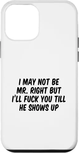 Vista 16 de I May Not Be Mr. Right But I’ll Fuck You Till He Shows Up Case for iPhone 17