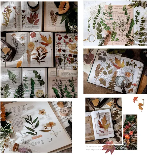 Vista 6 de Maxleaf Calcomanías de la Serie Botánica, 80 Calcomanías Grandes de Flores Secas Impermeables Transparentes, Calcomanías Florales de Plantas